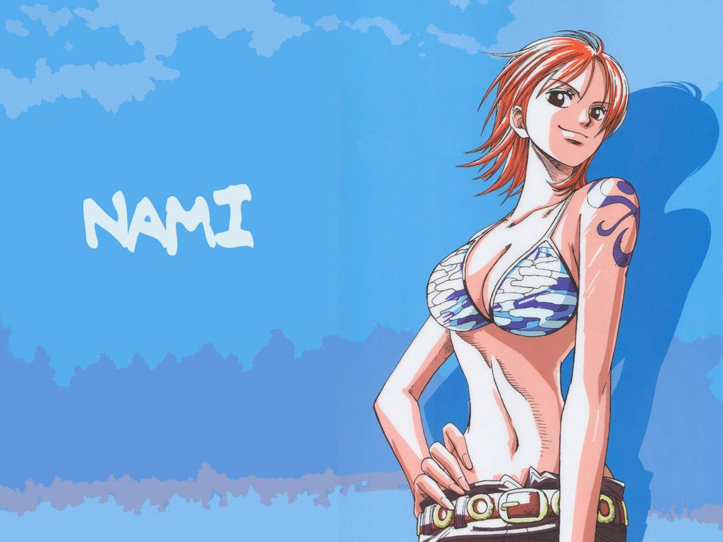 1024x768 One Piece Nami Wallpaperswallpapercave.com