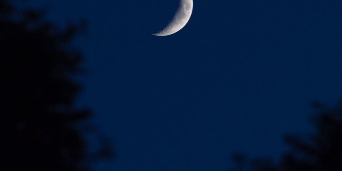 1000x1500 500+ Crescent Moon Pictures [HQunsplash.com