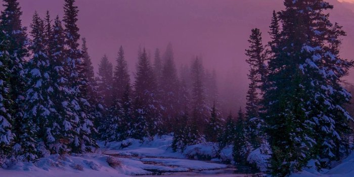 1107x2398 Crescent moon at lake mobile wallpaperhdmobilewalls.com