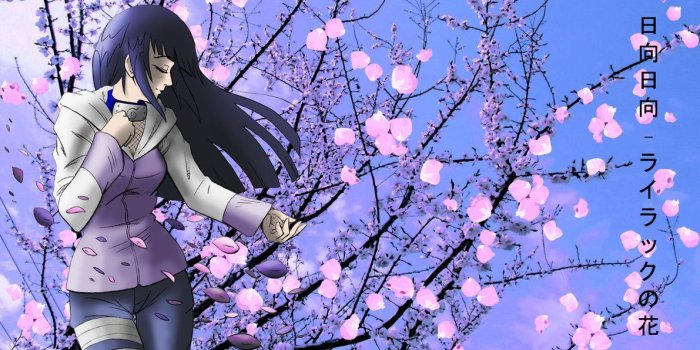 1191x670 Hinata Backgrounds Group (74+)