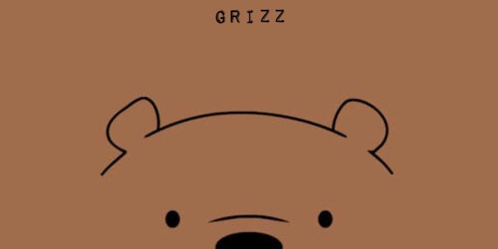 1242x2208 Grizzly We Bare Bears Wallpapers
