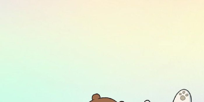 886x1654 Aesthetic We Bare Bears Wallpapers