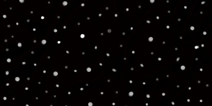 1080x1920 4k Aesthetic We Bare Bears Phone Wallpapers