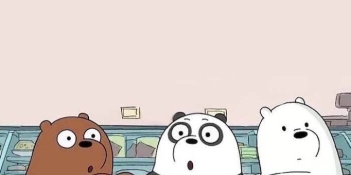 720x1201 Image in We Bare Bears Wallpapers collection by Aestheticcc Walpapersss