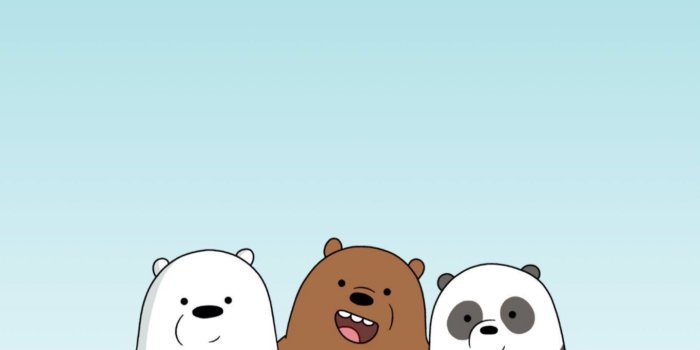 1364x2048 we bare bears wallpaper hd | Bear wallpaper, We bare bears wallpapers, Ice  bear we bare bears