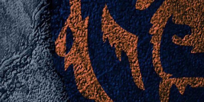 1080x1920 Chicago Bears Wallpapers For Galaxy S5.jpg Desktop Background