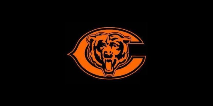 1024x768 Free download Chicago Bears Wallpapers [1024x768] for your Desktop, Mobile  & Tablet | Explore 75+ Chicago Bears Backgrounds | Chicago Hd Wallpaper,  Chicago Cubs Wallpaper 1920x1080, Chicago Cubs Screensavers and Wallpaper