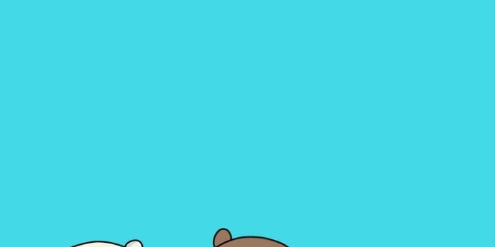 735x1102 We Bare Bears Wallpapers Top Free We Bare Bears regarding We Bare Bears  Whatsapp Wallpaper - Fin… | Ice bear we bare bears, Bear wallpaper, We bare bears  wallpapers