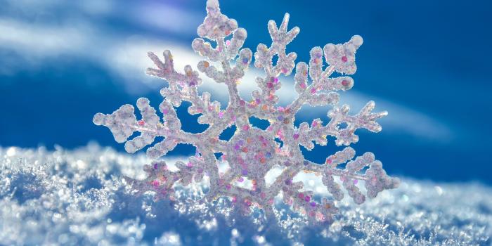 2880x1800 Snowflake Wallpaper HD