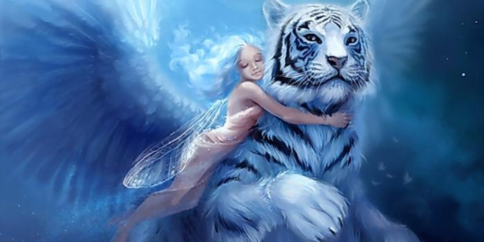 1600x1200 77+] Fantasy Fairy Wallpapers on WallpaperSafari