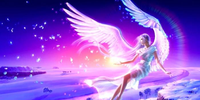 1116x846 Purple Live Wallpapers Group 800×500 Fairy Wallpapers - Beautiful Angels  (#482536) - HD Wallpaper & Backgrounds Download