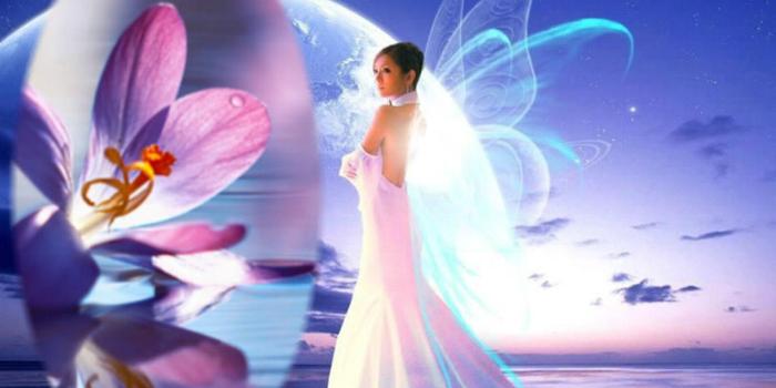 1920x1440 1920x1440, Blue Fairy Wallpaper,fantasy Hd Wallpaper,fairy - Fairy Wallpaper  Hd - 1920x1440 Wallpaper - teahub.io