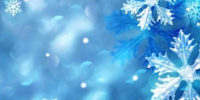 744x1392 Blue Snowflakes - The iPhone Wallpapers | Winter wallpaper, Wallpaper  iphone christmas, Snowflake wallpaper