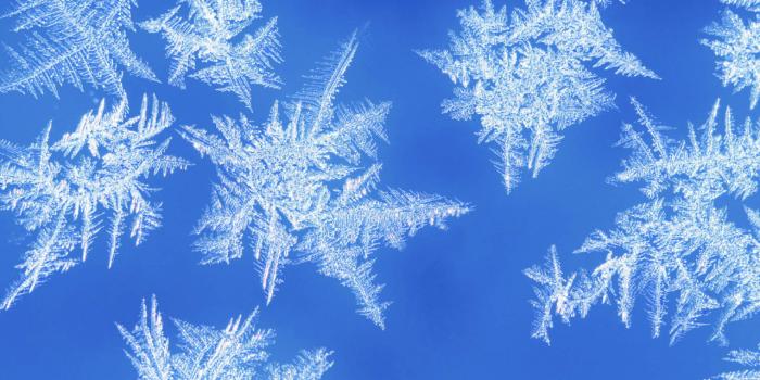 1280x1024 Free download Snowflake Photo wallpapers Snowflake Photo stock photos  [1600x1200] for your Desktop, Mobile & Tablet | Explore 73+ Snowflake  Wallpaper | Snow Pictures Wallpaper,