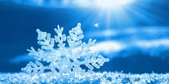 2560x1600 Beautiful Snowflake Wallpaper 15536 16213 Hd Wallpapers - Snow Winter -  2560x1600 - Download HD Wallpaper - WallpaperTip