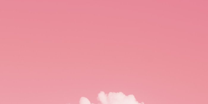 1000x1499 Pink Wallpapers: Free HD Download [500+ HQ] | Unsplash