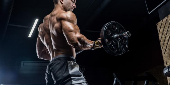 1332x850 Wallpaper power, pose, back, fitness, gym images for desktop, section  мужчины - download