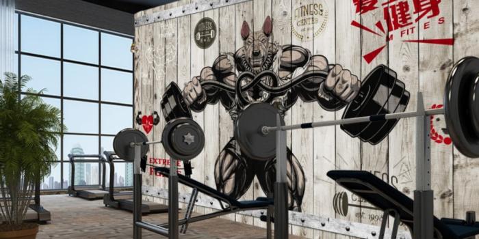 1000x800 Free Shipping Creative Gym Custom 3D Photo Wallpaper Bodybuilding Cartoon  Beasts Wood Gym Wall Cheap Gym Wallpaper Mural|Wallpapers| - AliExpress