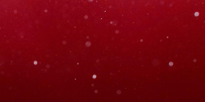 1125x2436 Red iPhone 11 Wallpapers