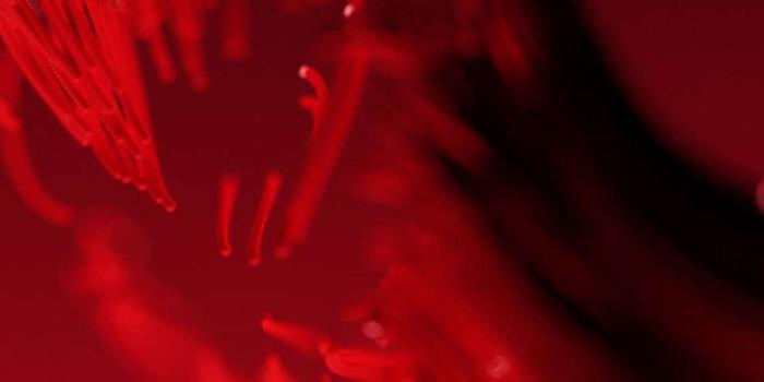 1125x2436 Ultra Hd Iphone X Red Wallpaper