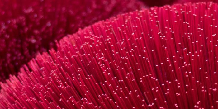 1125x2436 Light dot red line pattern background iPhone X Wallpapers Free Download