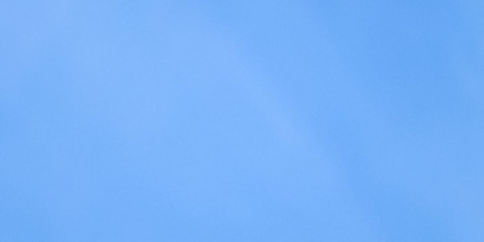 1242x2688 white cherry blossom under blue sky during daytime iPhone X Wallpapers Free  Download