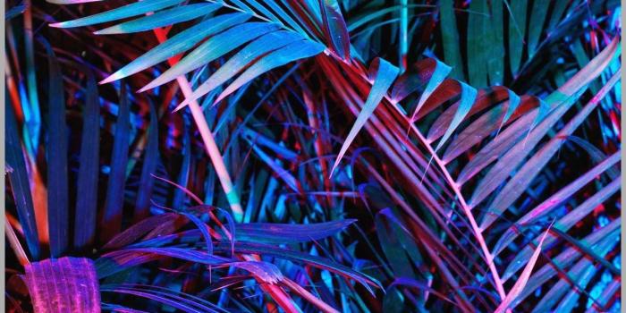 1280x1920 Holographic Aesthetic Wallpapers HD Background | AWB