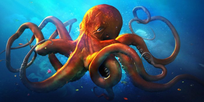 1920x1200 Octopus Wallpaper | Creative HD Wallpapers | Octopus art drawing, Octopus  wallpaper, Sea art