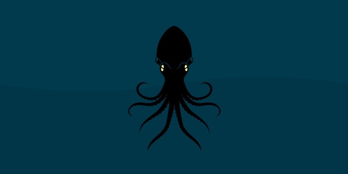 2560x1600 Octopus Wallpaper #6839806