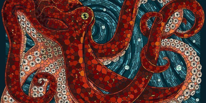 1350x900 Octopus Wallpaper