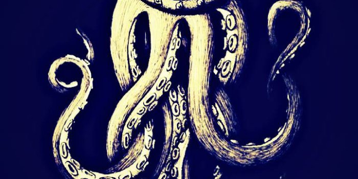 720x1280 Octopus wallpaper by HB24s - 4e - Free on ZEDGE™