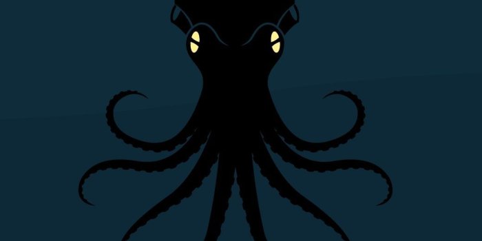 1041x1526 Abstract Octopus Iphone Wallpaper