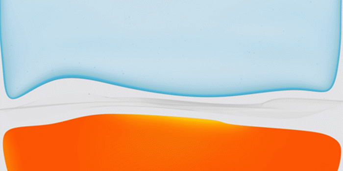 1436x3113 iPhone 11 Wallpapers