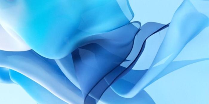 1242x2688 iPhone 11 Wallpapers