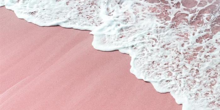 828x1792 iPhone 11 and iPhone 11 Pro Wallpapers - iLikeWallpaper