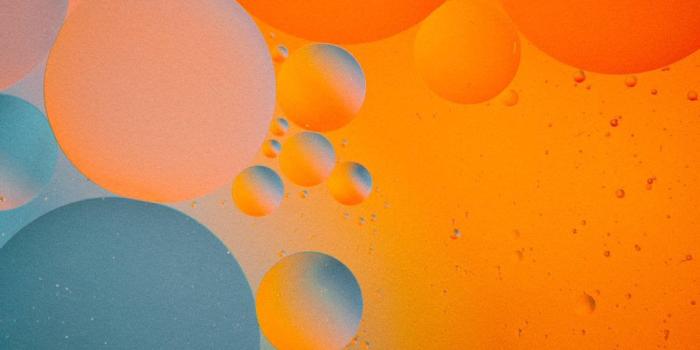 1124x2000 New iPhone 11/Pro wallpapers from The Verge (LIC) : iphonewallpapers