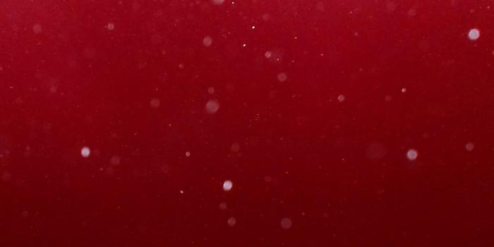 1125x2436 iPhone 11 Red Wallpapers - Top Free iPhone 11 Red Backgrounds -  WallpaperAccess