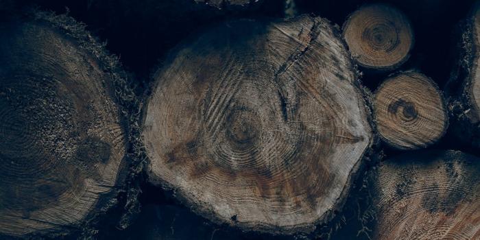 1125x2436 Beautiful iPhone 11 pro Wallpaper For iPhone - Clear Wallpaper