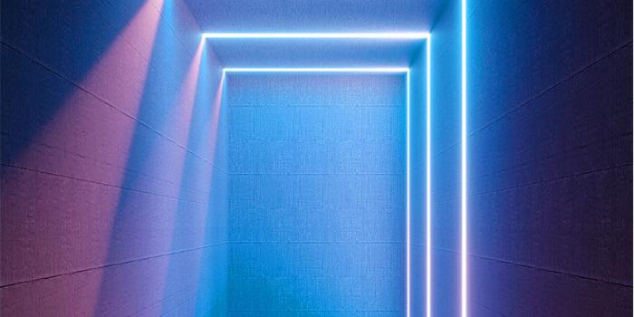 828x1792 60+ Latest High Quality iPhone 11 Wallpapers & Backgrounds for Everyone |  Designbolts