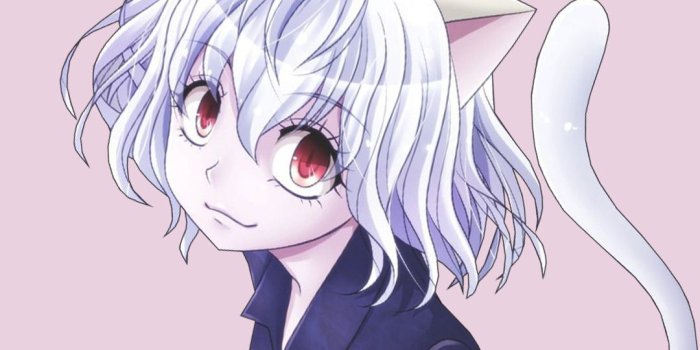 1080x1920 Hunter X Hunter Neferpitou Wallpapers