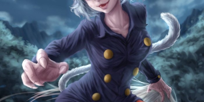 1131x1600 Neferpitou, Liang Jian on ArtStation at  https://www.artstation.com/artwork/bybGm | Hunter anime, Cat girl, Hunter  girl