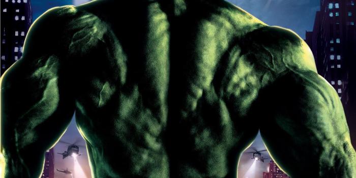 1563x2199 Android The Incredible Hulk Wallpaper