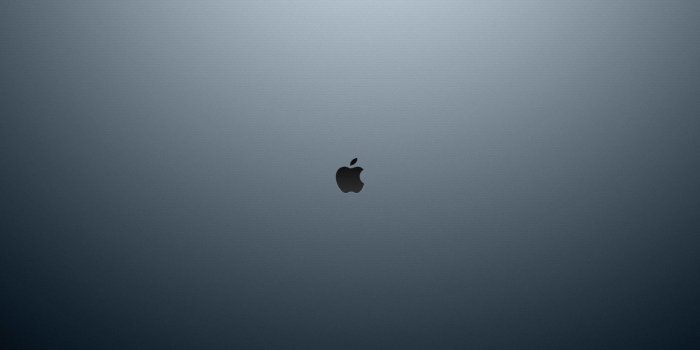 1920x1200 Apple logo #apple #Apple #minimalism #texture #computers grey background  #texture #style #computers … | Computer wallpaper hd, Apple logo wallpaper,  Apple wallpaper