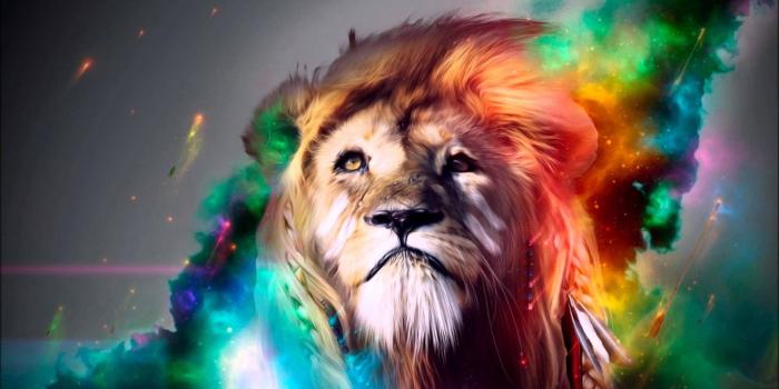 1920x1080 Wallpaper Rastafarian Lion