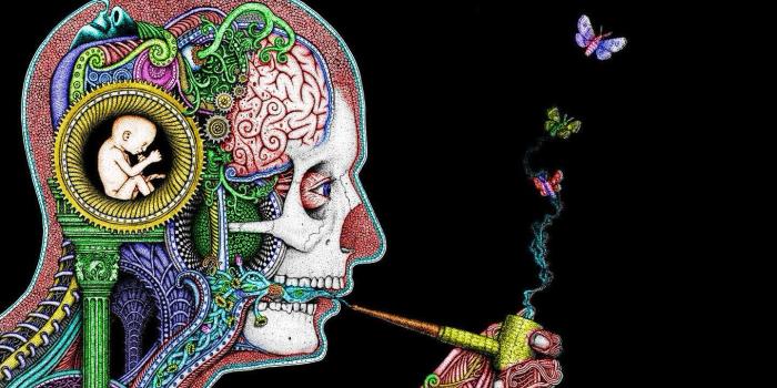 1440x900 Rasta Wallpapers - 4k Wiki Wallpapers 2018