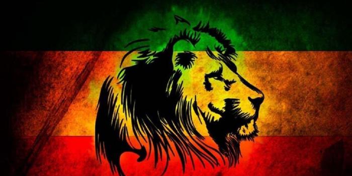 1600x900 Rasta Lion Wallpapers Group (53+)