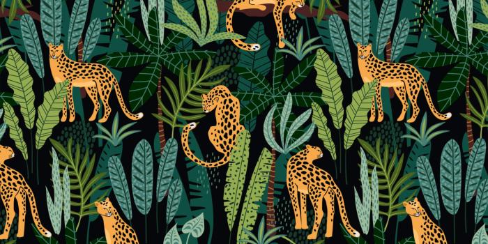 2592x1602 Lush Jungle Night Leopard Pattern Wallpaper for Walls | Midnight Prowl