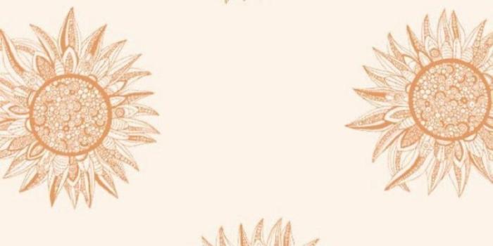 750x1333 Samantha on Backgrounds | Wallpaper iphone boho, Boho wallpaper, Bohemian  wallpaper
