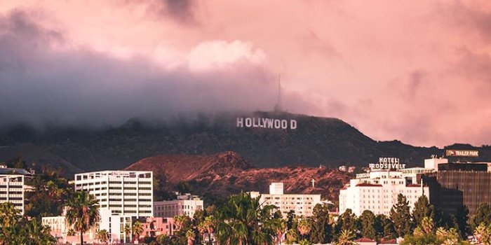 736x1308 Los Angeles Iphone Wallpapers By Preppy Wallpapers - Los Angeles Wallpaper  Android - 736x1308 - Download HD Wallpaper - WallpaperTip