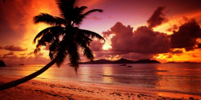 1920x1200 LA Wallpapers: Los Angeles Wallpaper Available For Download In HD